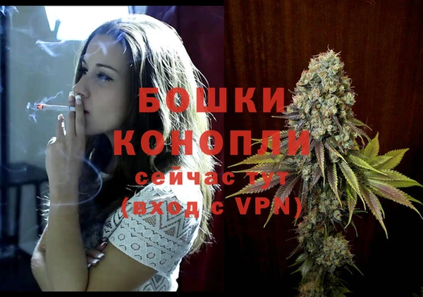 мяу мяу мука Кулебаки