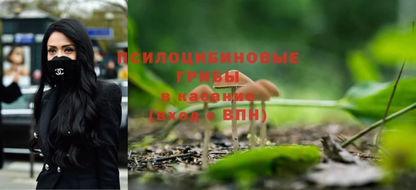 а пвп мука Кукмор