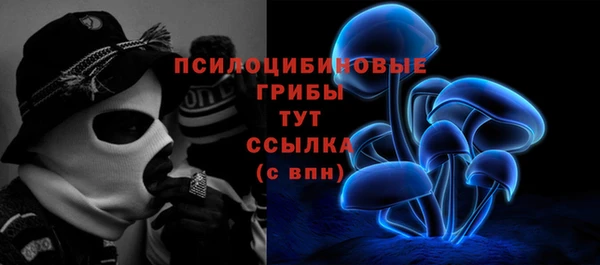 мяу мяу мука Кулебаки