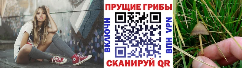 Галлюциногенные грибы Magic Shrooms  где можно купить   Среднеколымск 